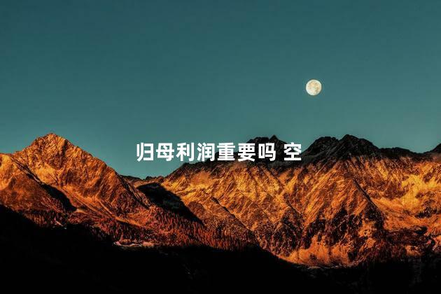 归母利润重要吗